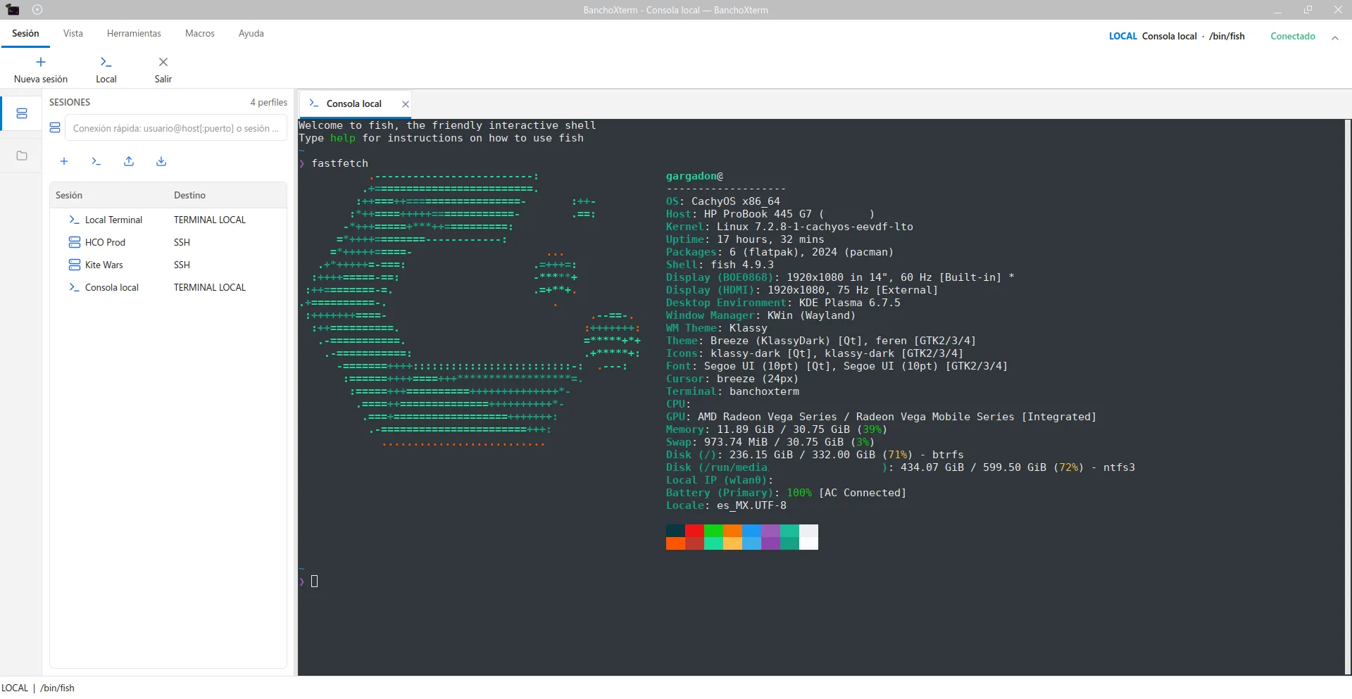 BanchoXterm Screenshot